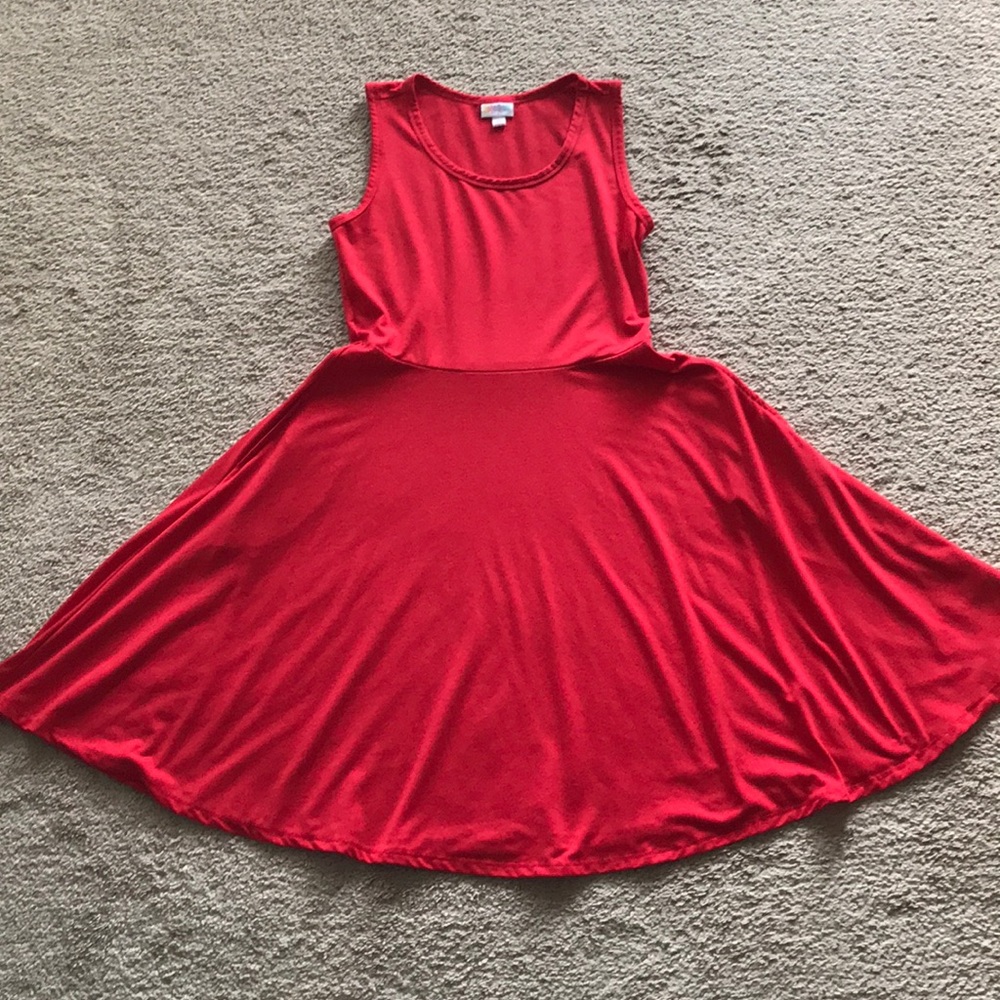 Lularoe Nicki skater dress